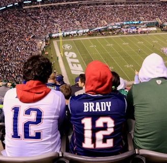 A crowded football stadium with fans sitting in the stands, wearing jerseys and hoodies. The field is visible in the background with teams lined up for a play. The audience is engaged, capturing the excitement of the game.